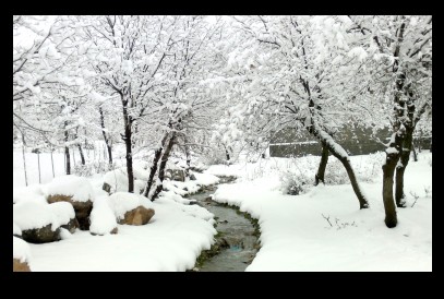  winter nature scene